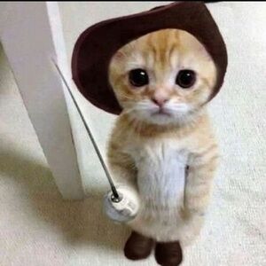 Meet your Posher, Bek